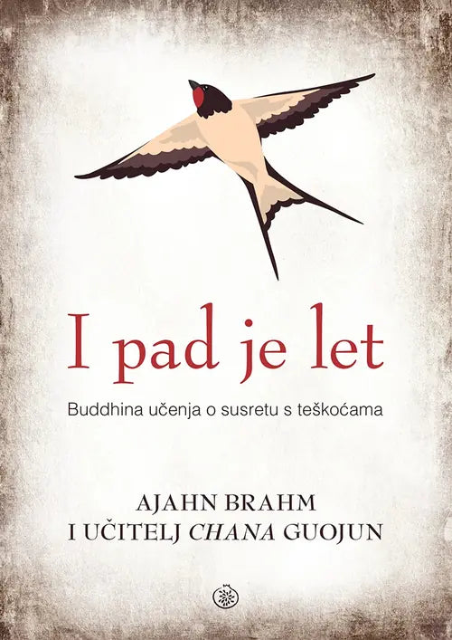 I pad je let