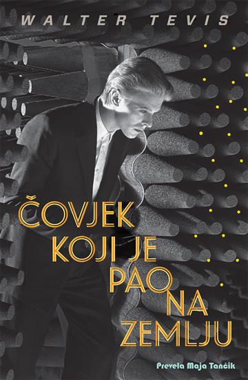 Čovjek koji je pao na Zemlju