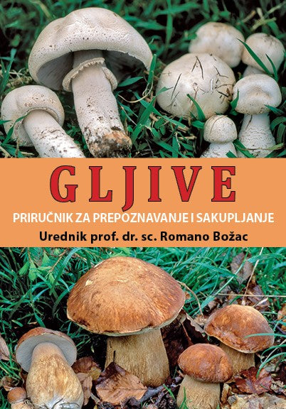 GLJIVE priručnik za prepoznavanje i sakupljanje